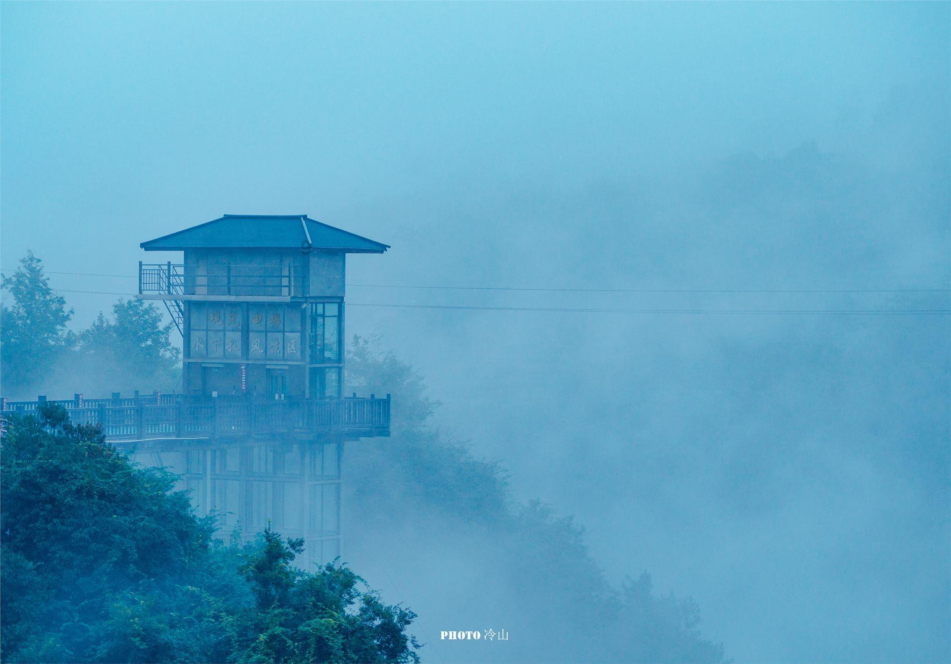 缤纷水果茶
