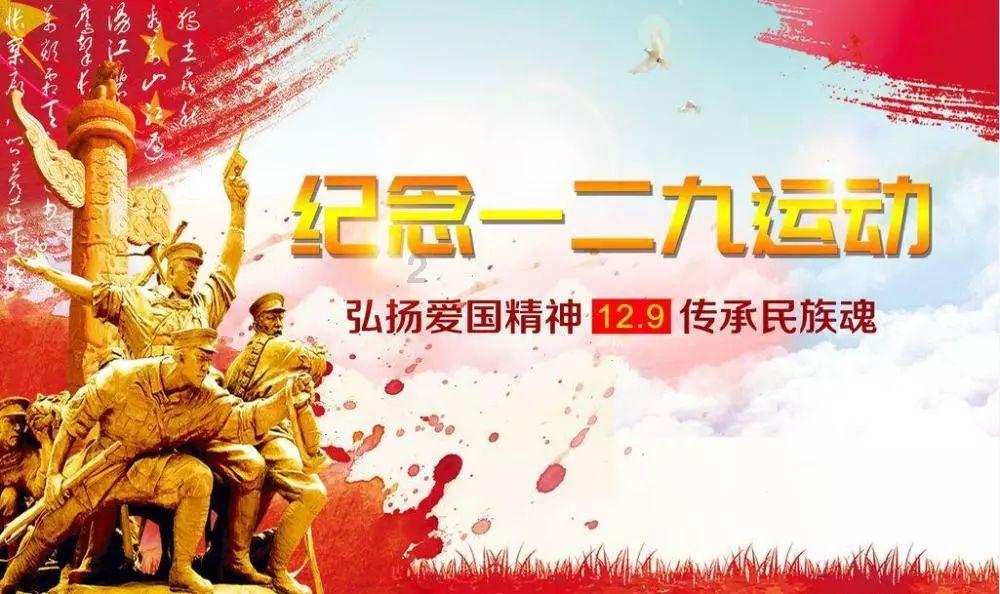 齐齐哈尔市龙沙区主题教育见成效系列报道之三 学思想 强党性 重实践 建新功丨服务送到“指尖” 省心送到身边